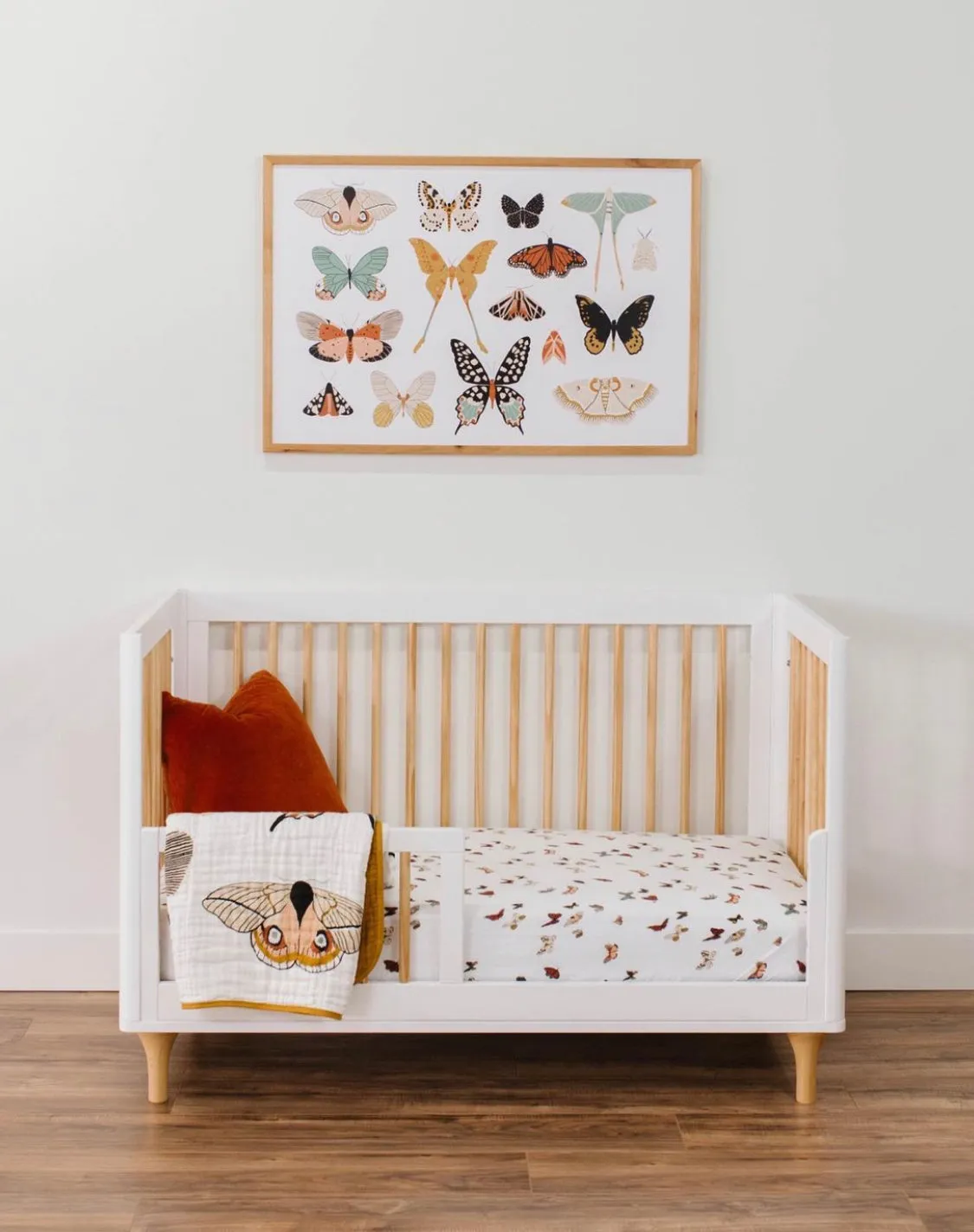 Butterfly Collector Quilt