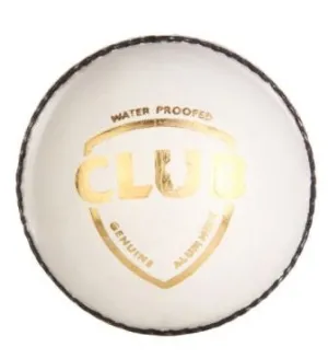 SG CLUB Cricket Leather Ball Junior
